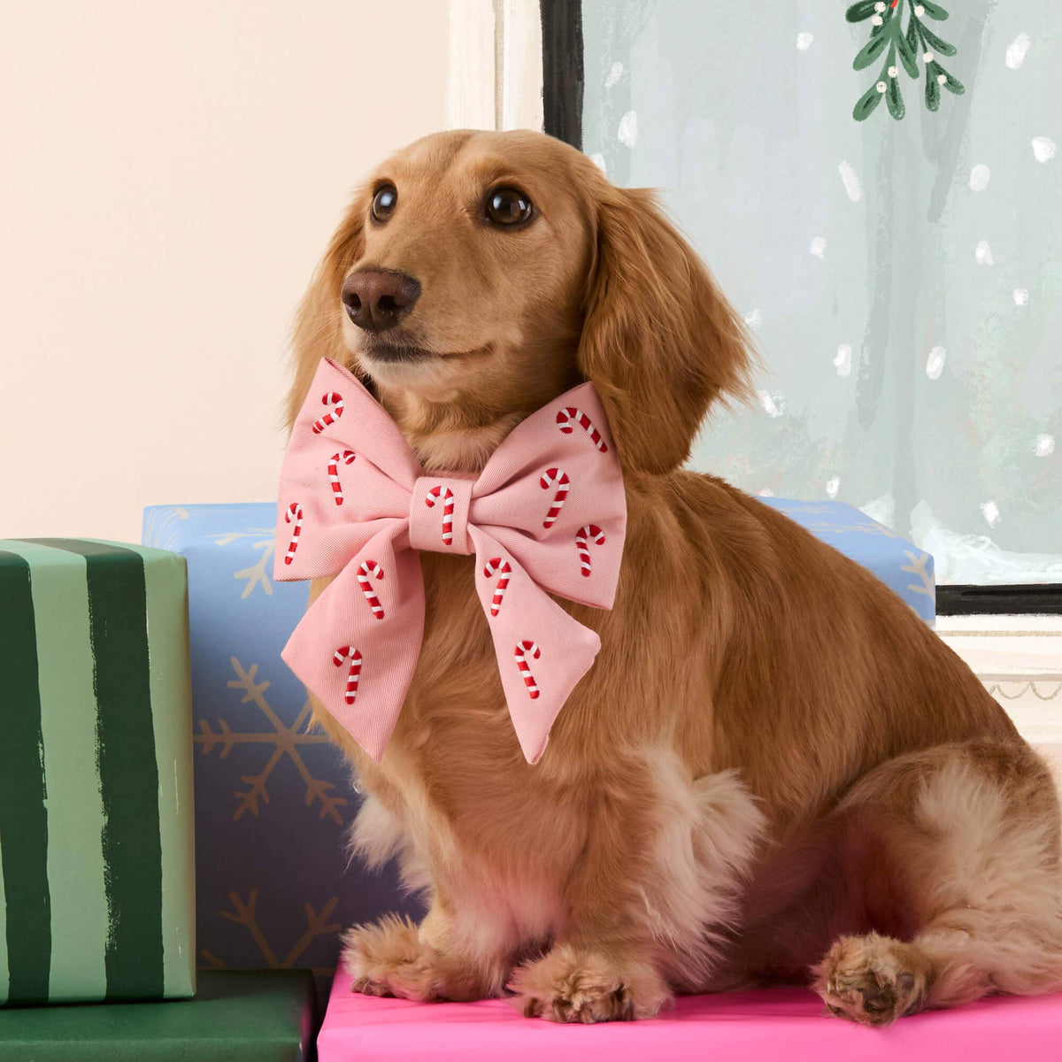 Blush Pink Candy Canes Embroidered Lady Dog Bow by The Foggy Dog