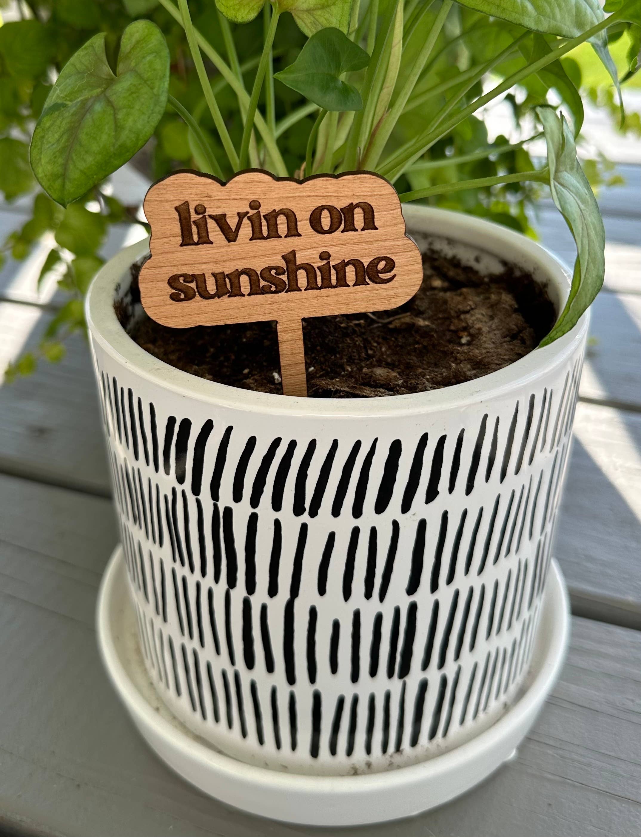 Plant Sayings Word Bubbles Funny Plant Stakes