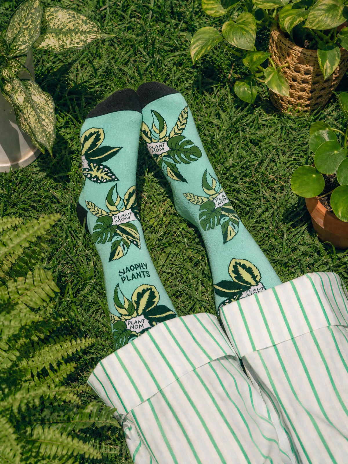 Plant Lover Cotton Crew Socks, Plant Gifts