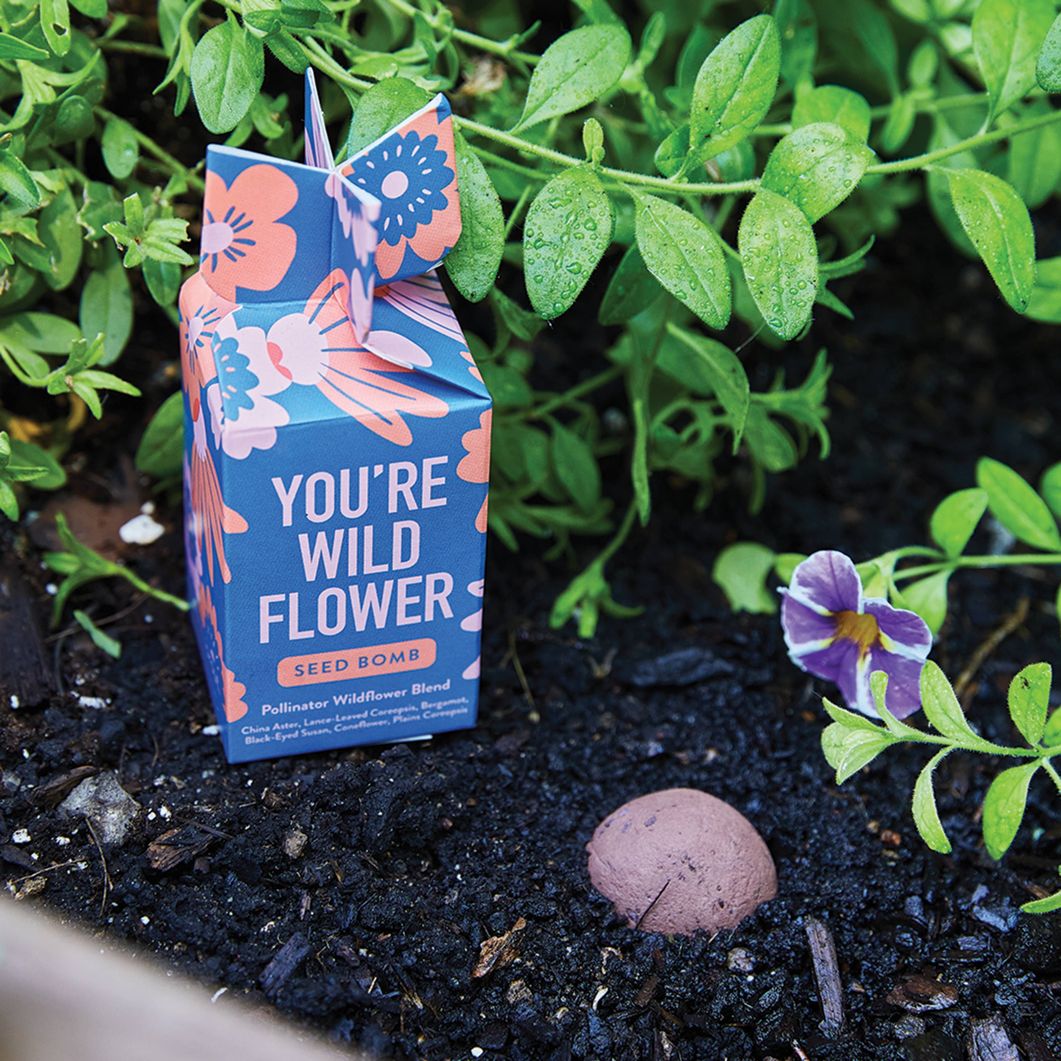 Seed Bomb - Grow Good Times
