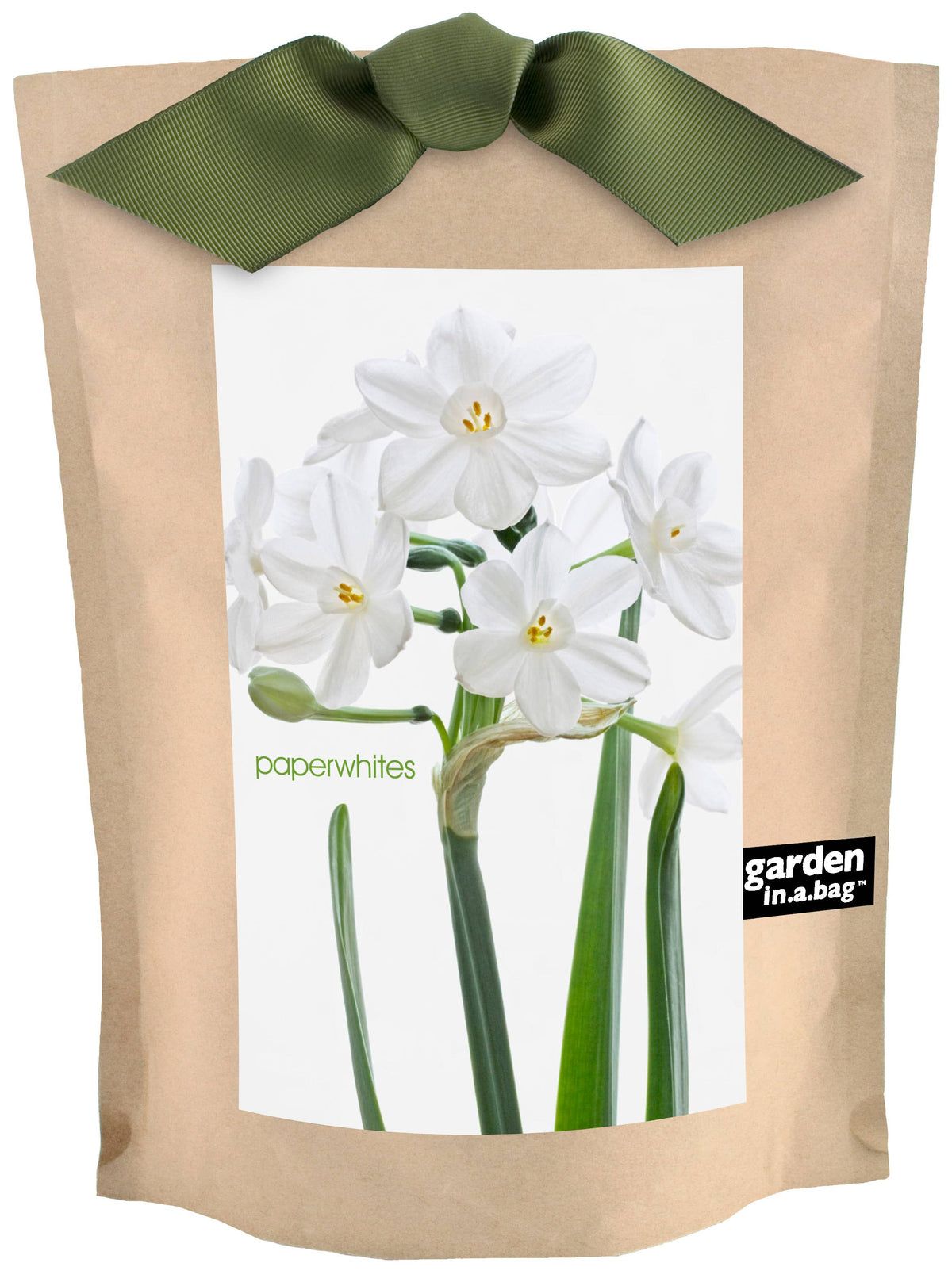 Garden in a Bag Paperwhites | Fall & Christmas