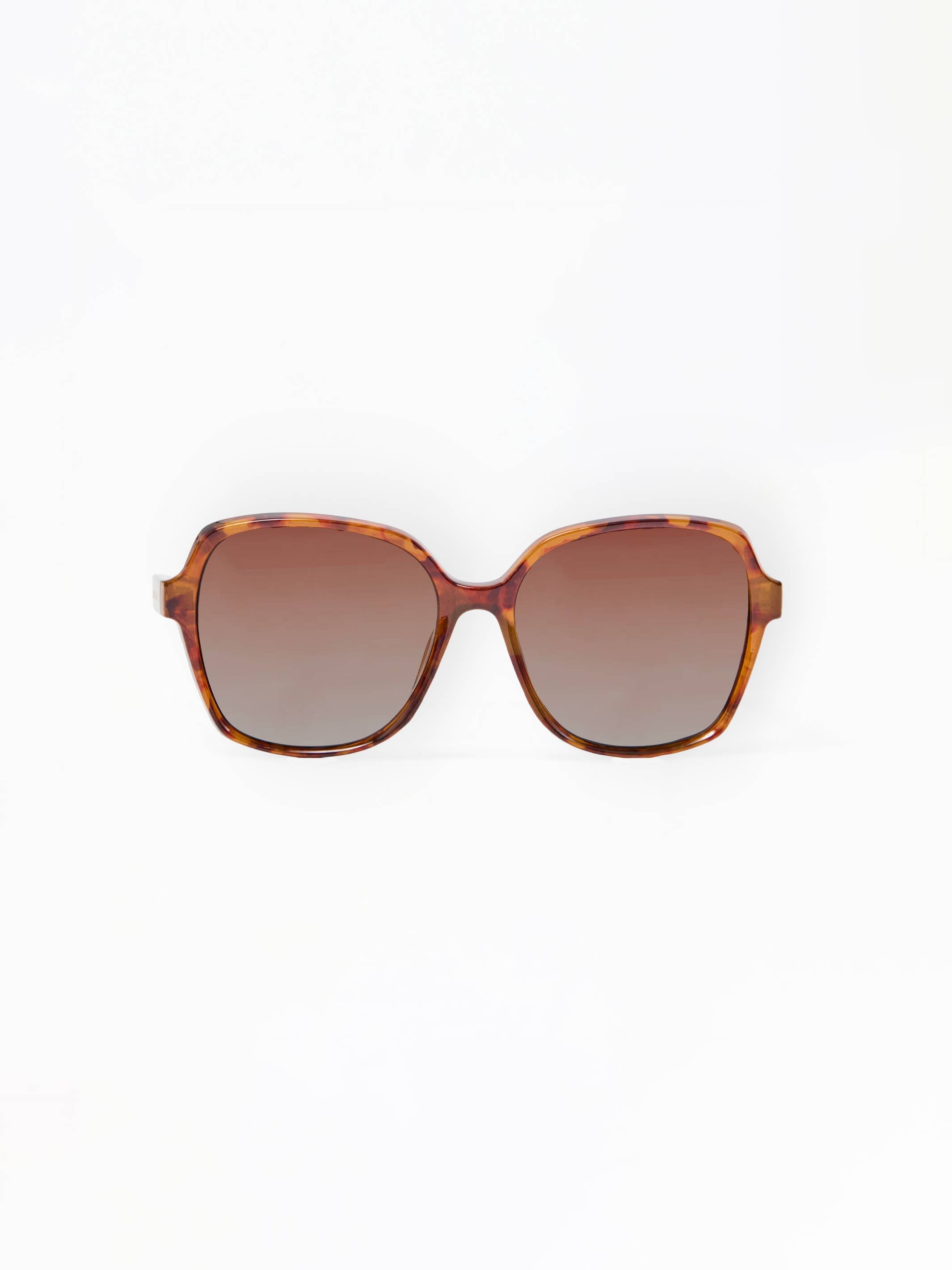 Haley Polarized Sunglasses | Tortoise