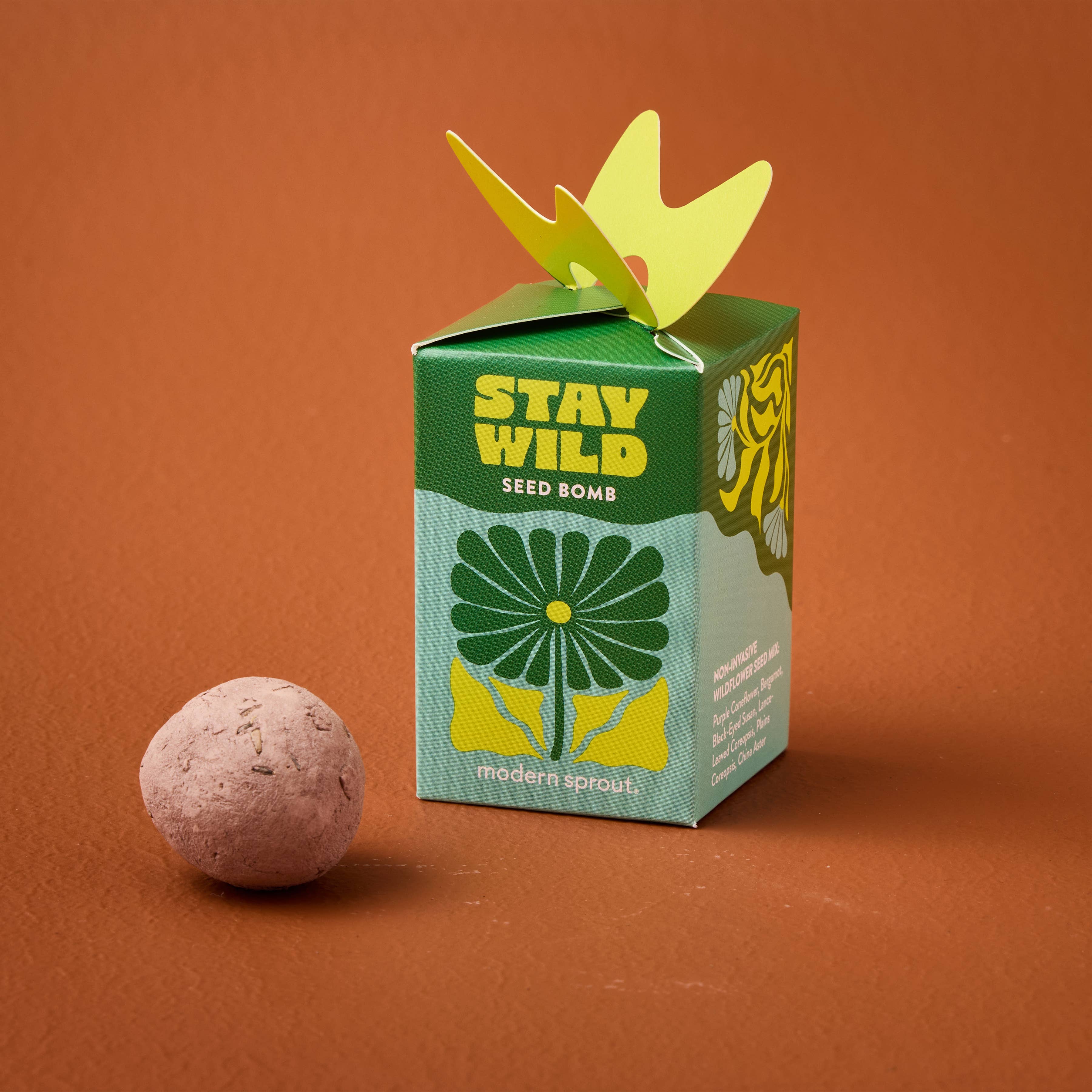 Stay Wild Seed Bomb