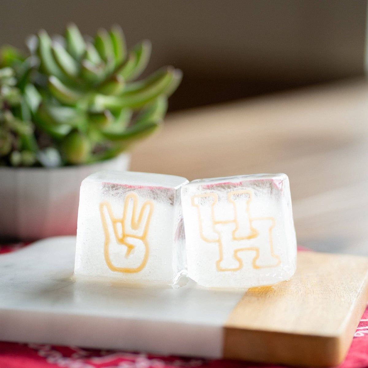 University of Houston Custom Cocktail Ice Tray - Bundle