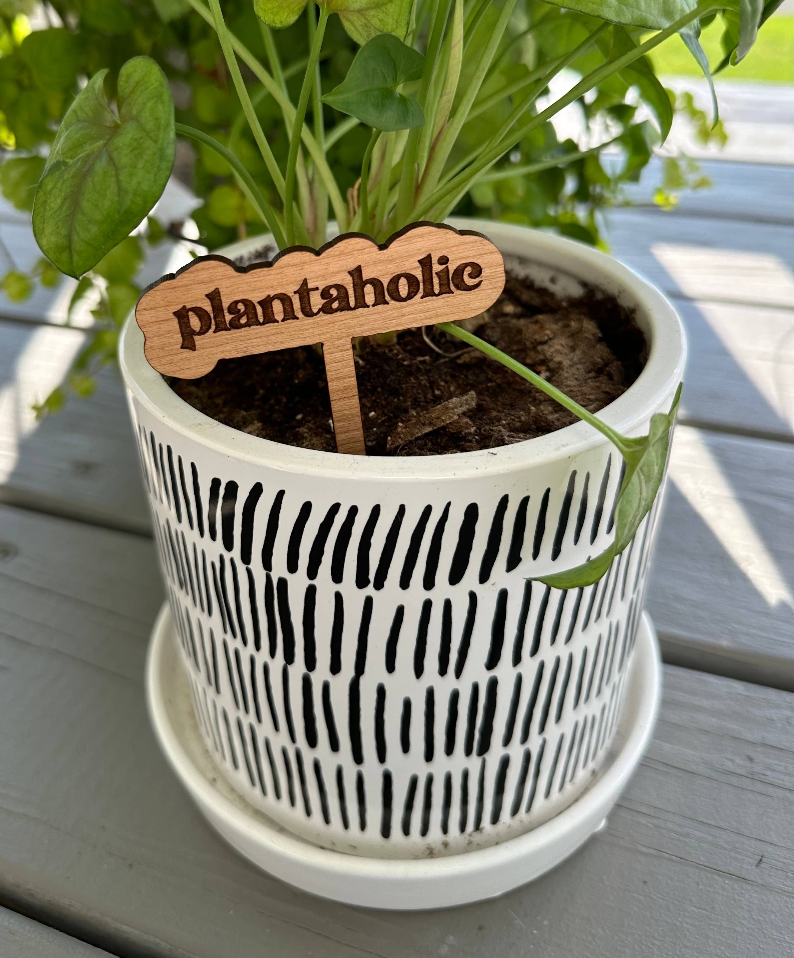 Plant Sayings Word Bubbles Funny Plant Stakes