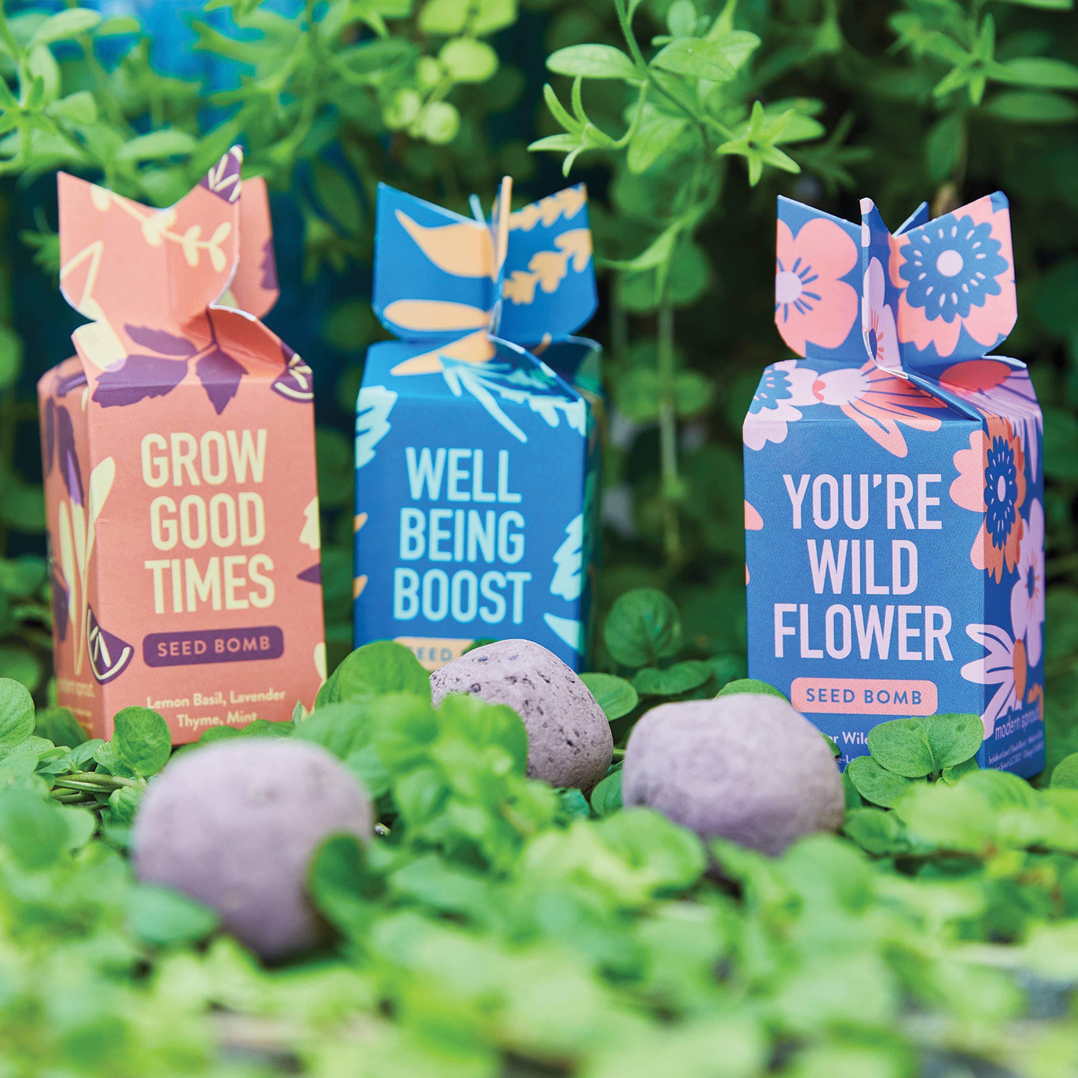 Seed Bomb - Grow Good Times