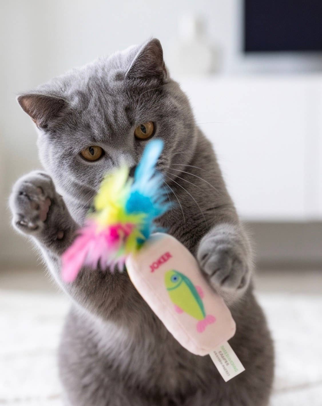 Meowjong Tiles Catnip Toys with Feathers Mahjong