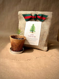 Christmas Tree to Be | Holiday gift | Fall Favorite