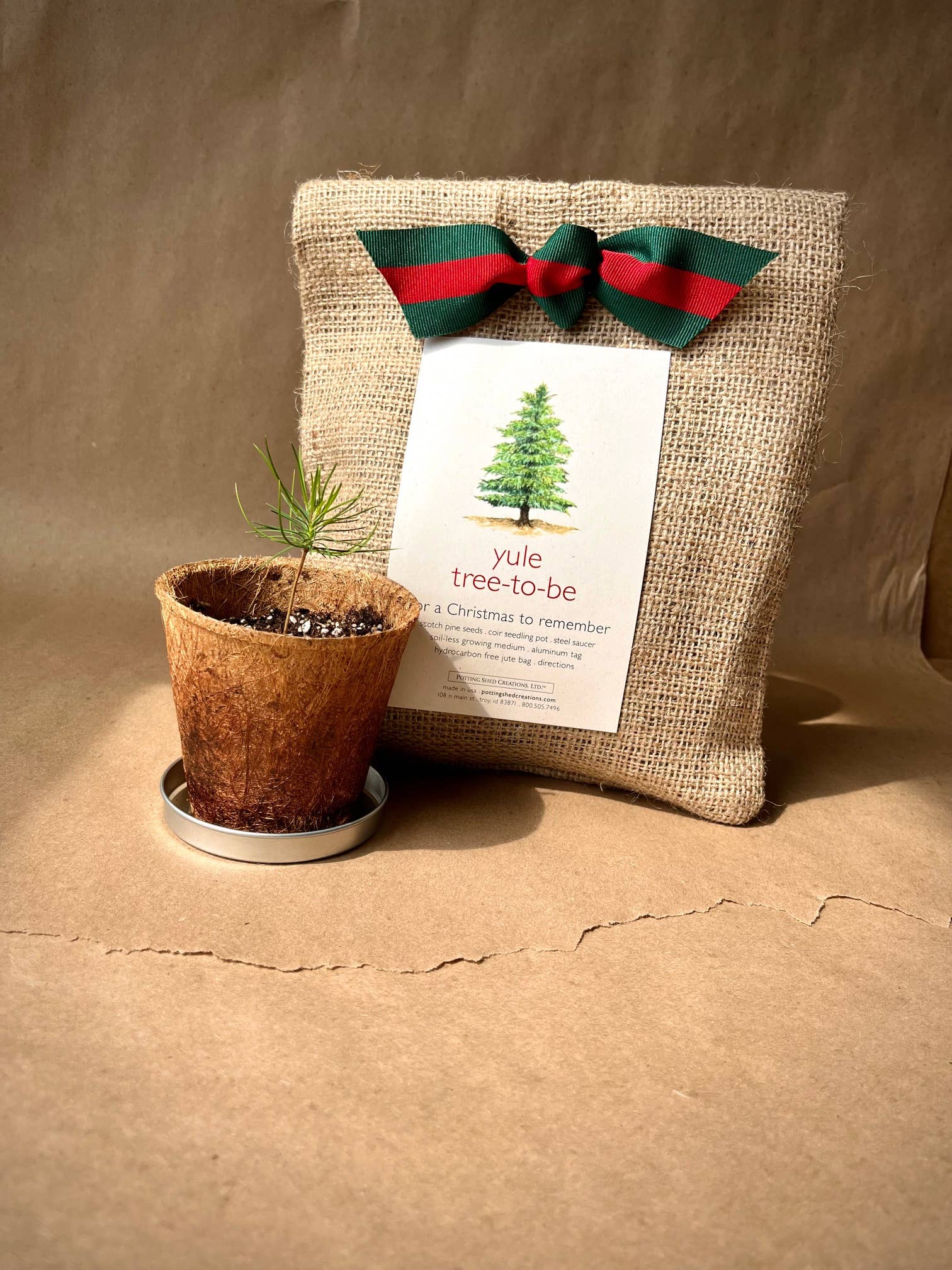 Christmas Tree to Be | Holiday gift | Fall Favorite