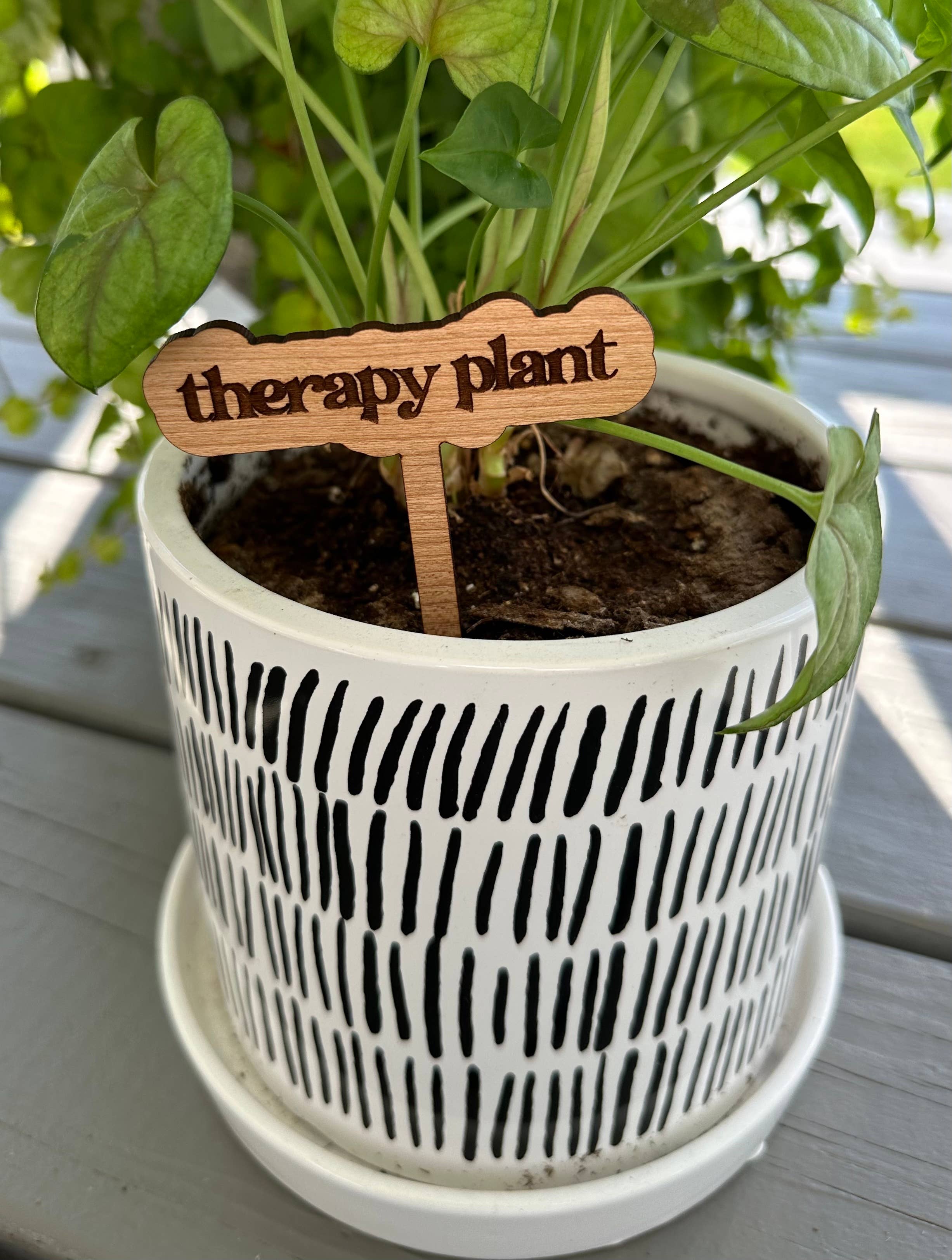 Plant Sayings Word Bubbles Funny Plant Stakes