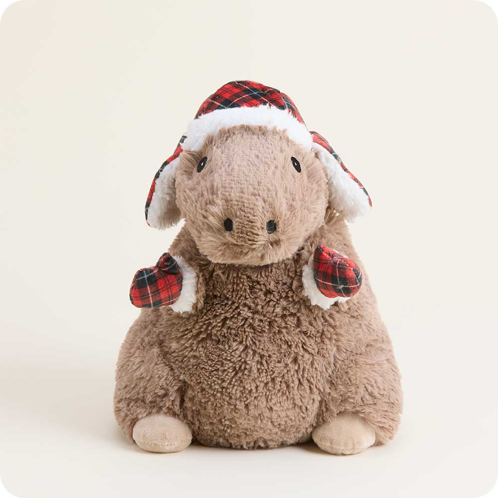 Cozy Capybara Warmies