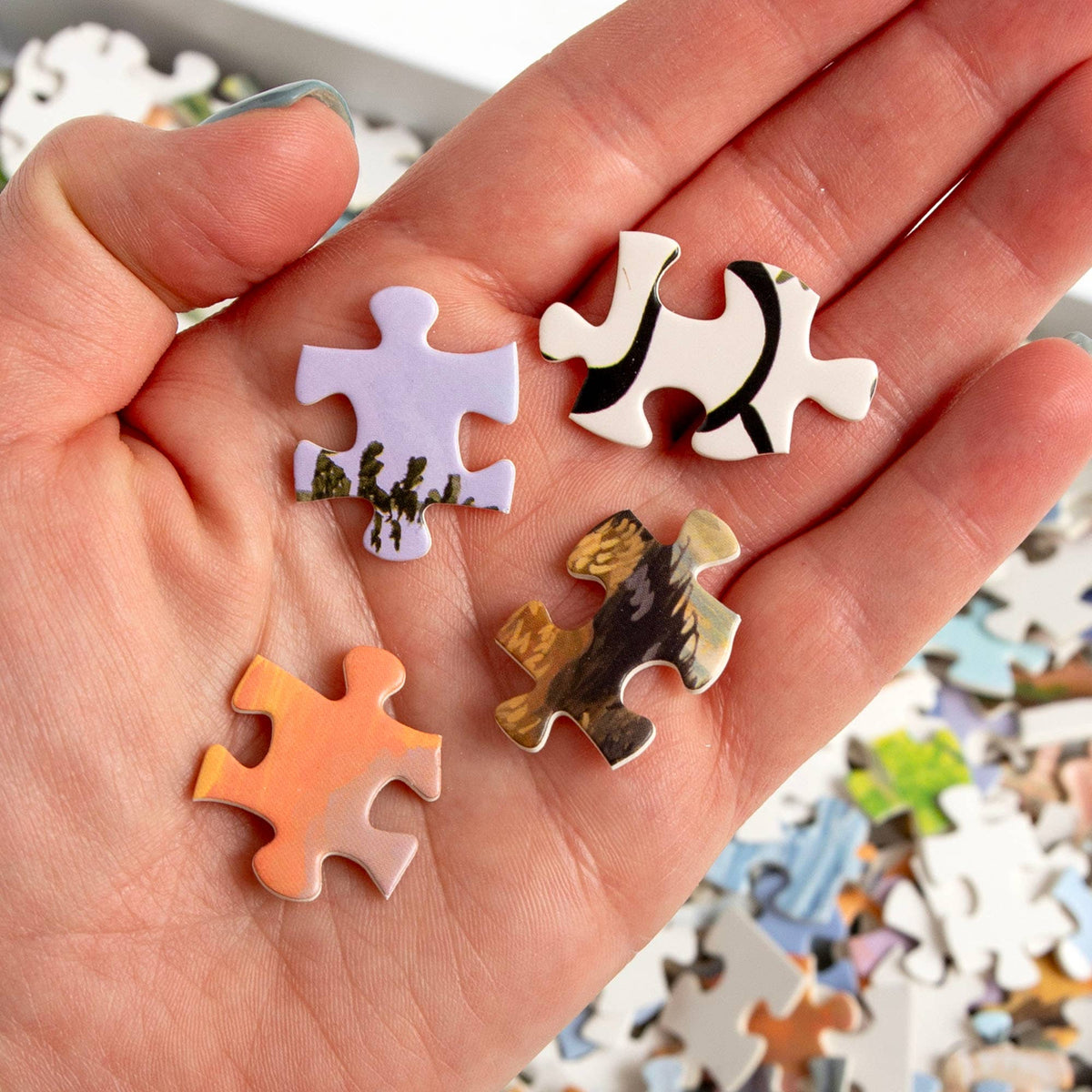 National Parks | Volume 4 - 1,000 Piece Jigsaw Puzzle