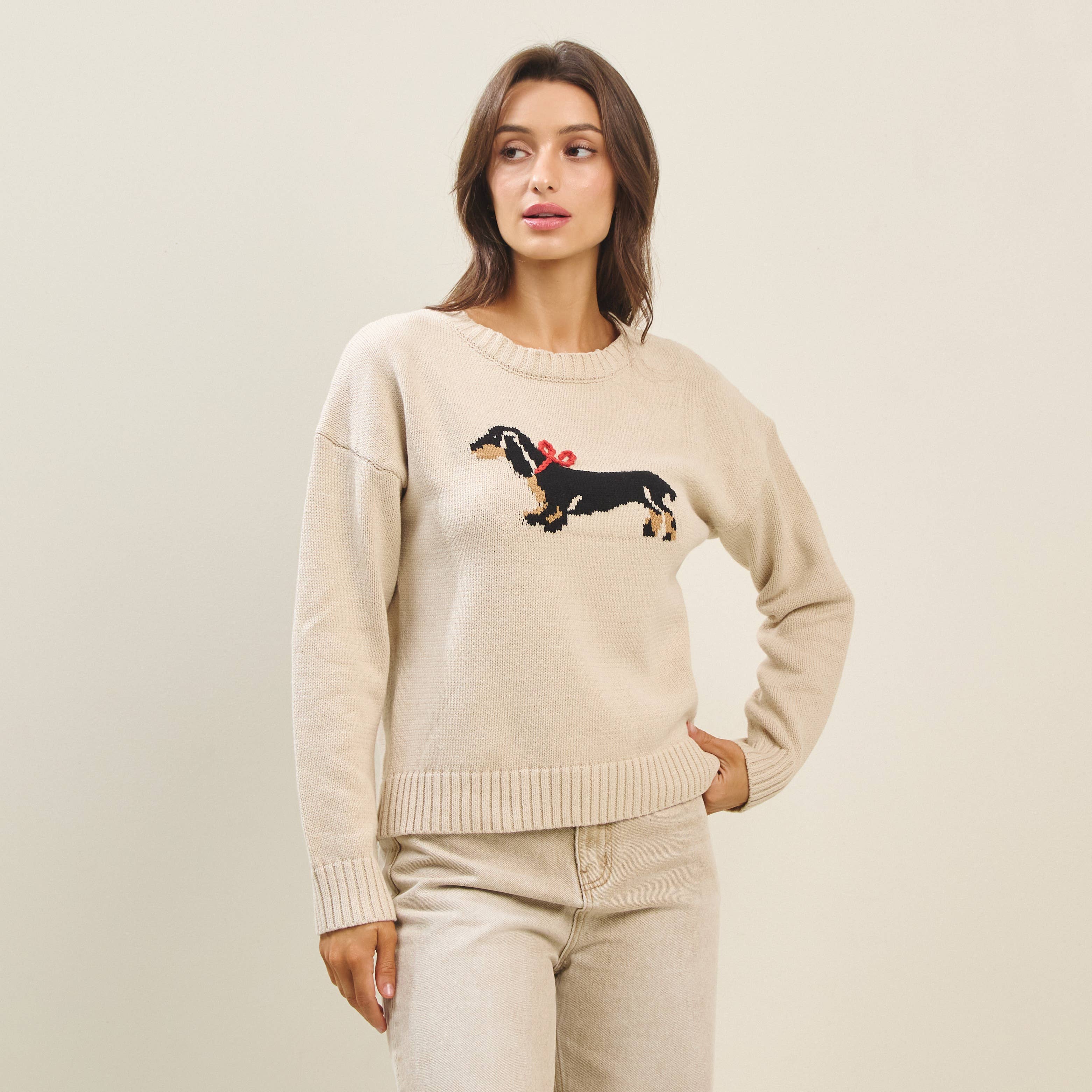 Bow dog sweater