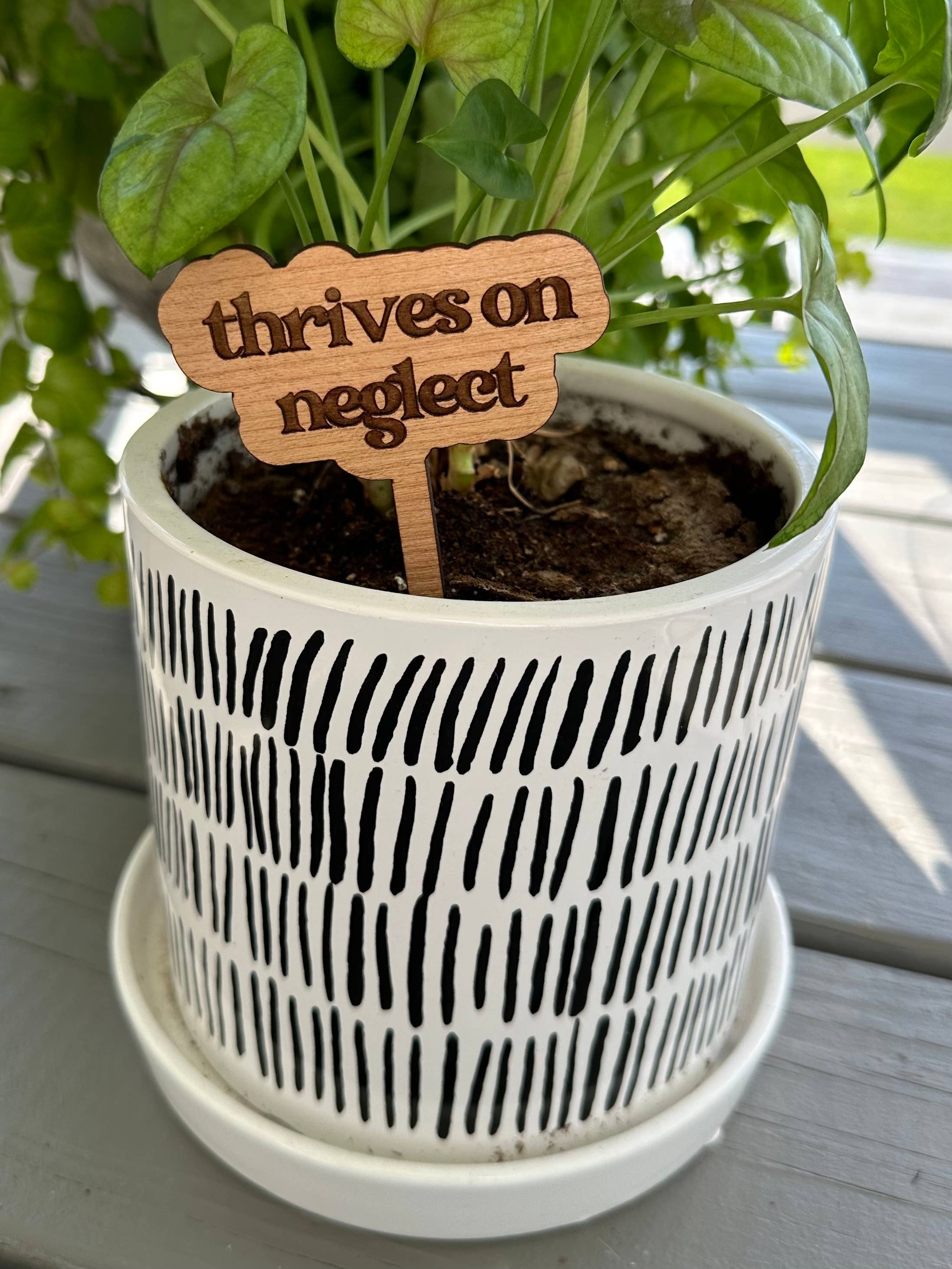 Plant Sayings Word Bubbles Funny Plant Stakes