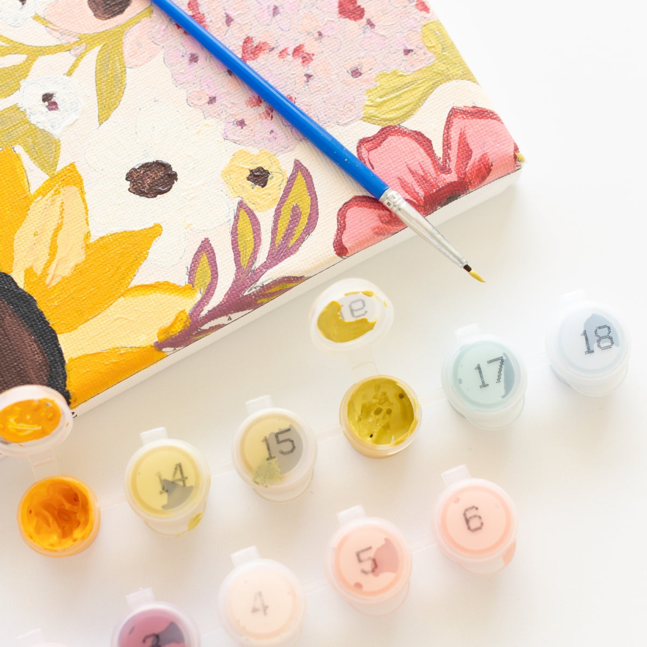Floral Paint By Number Kit