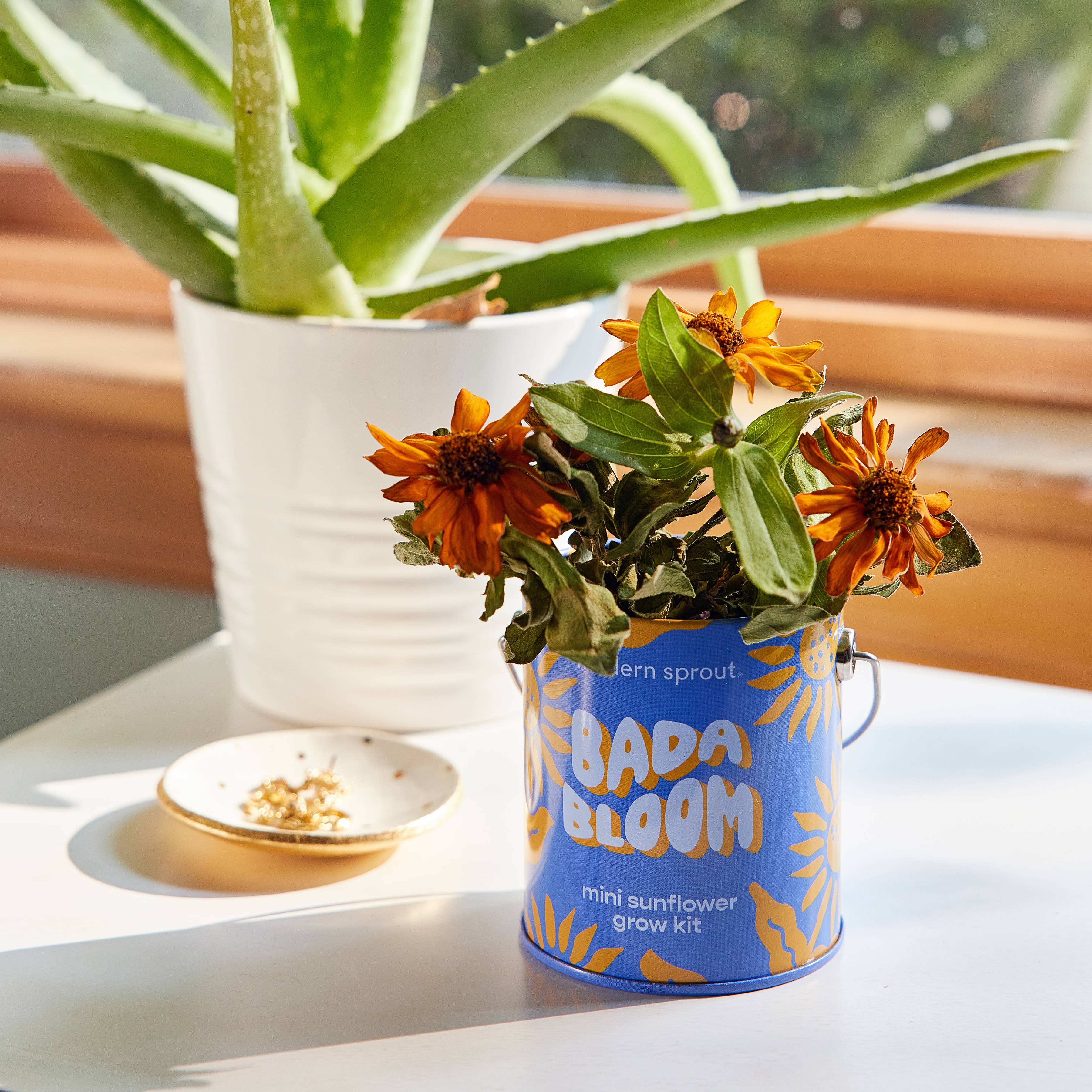 Complimentary Color Grow Kits - Sunflower
