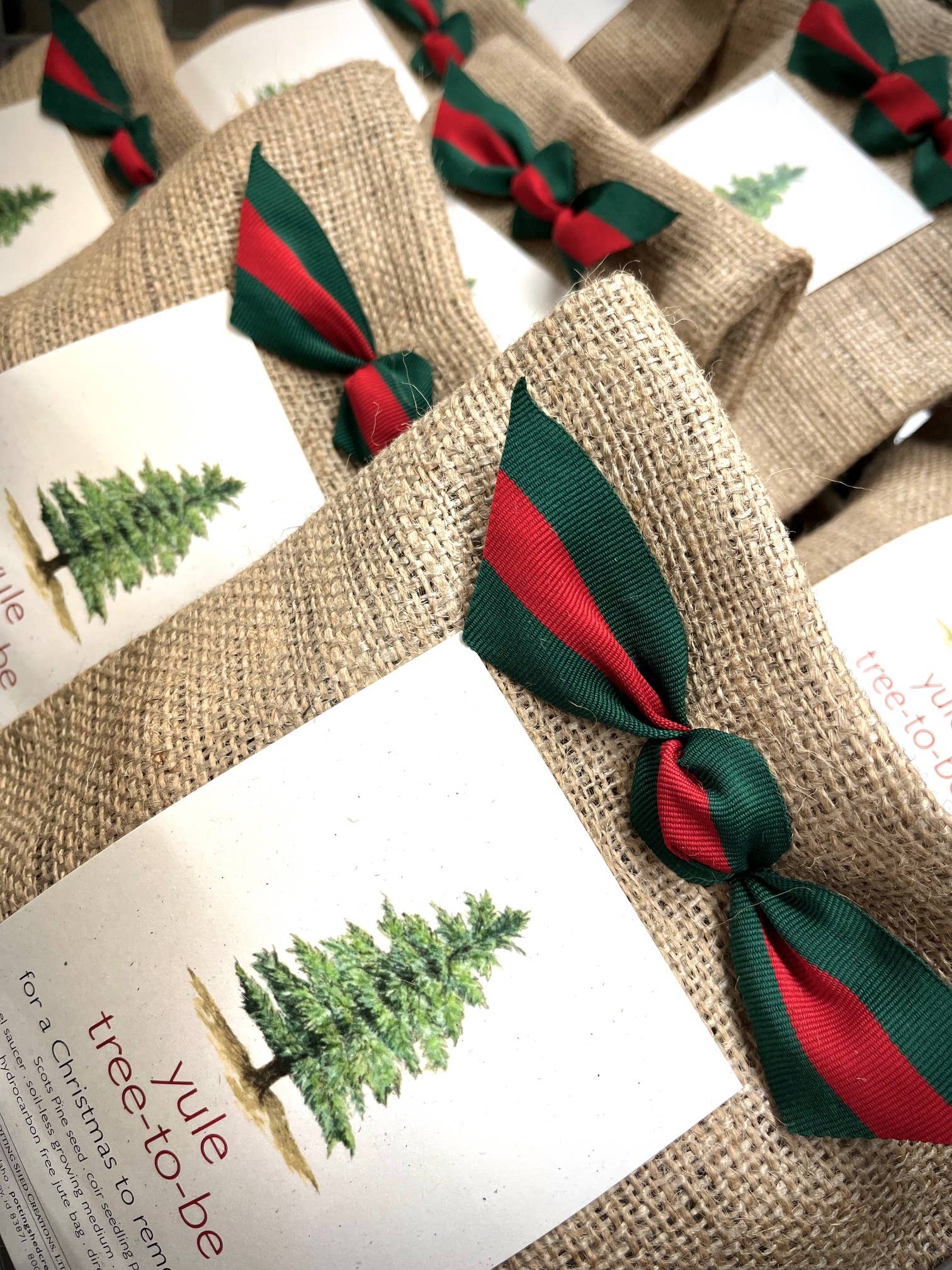 Christmas Tree to Be | Holiday gift | Fall Favorite
