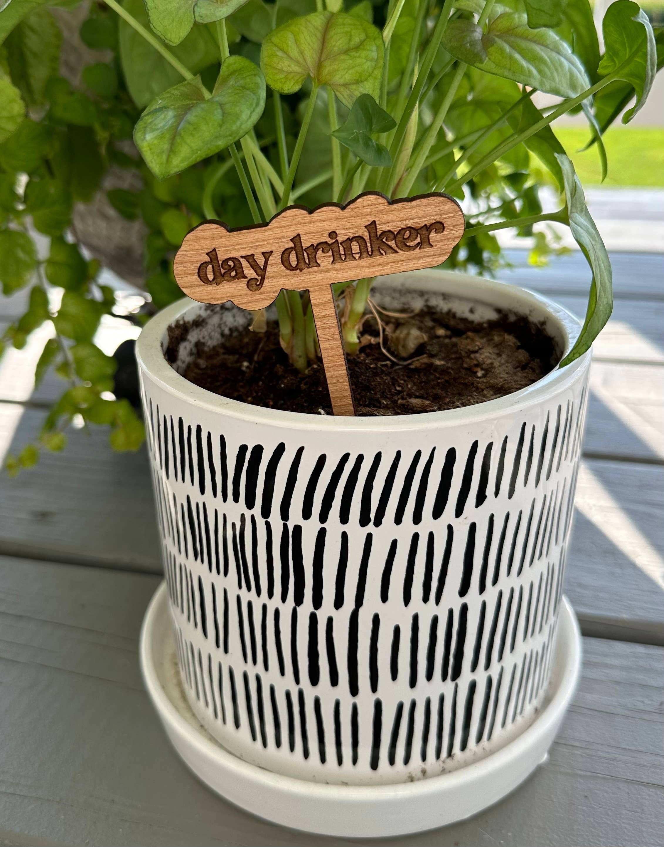 Plant Sayings Word Bubbles Funny Plant Stakes