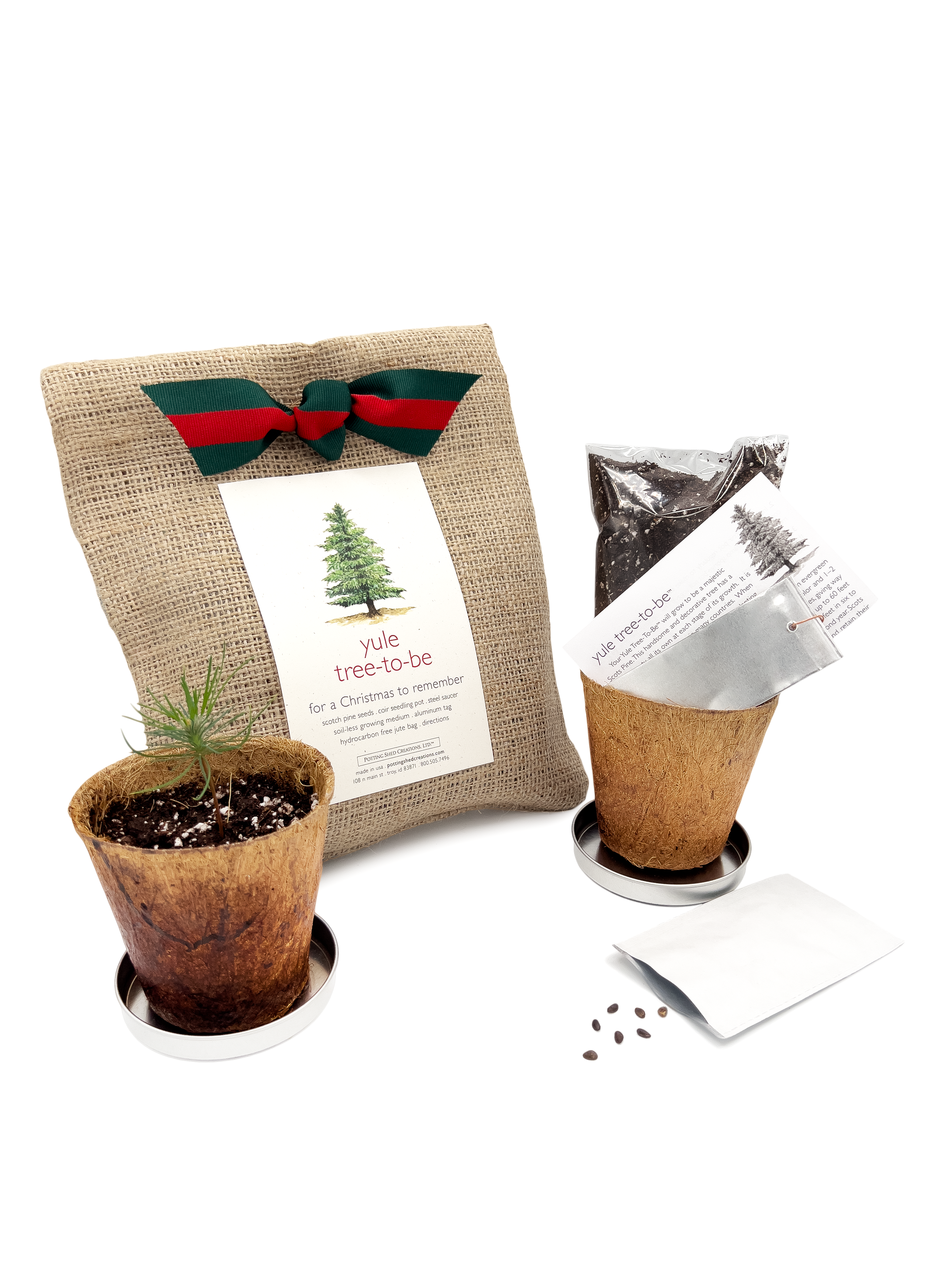 Christmas Tree to Be | Holiday gift | Fall Favorite