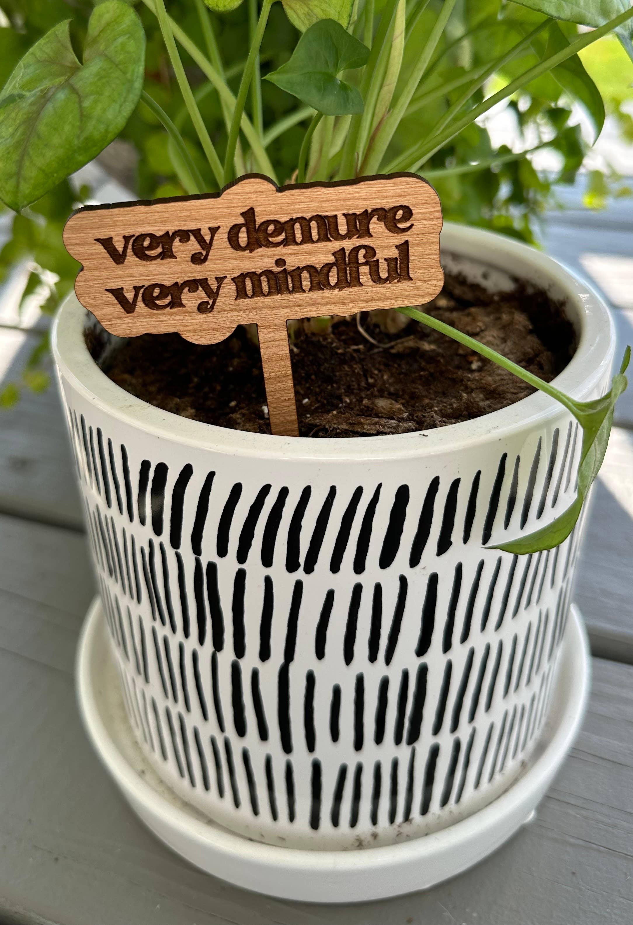 Plant Sayings Word Bubbles Funny Plant Stakes