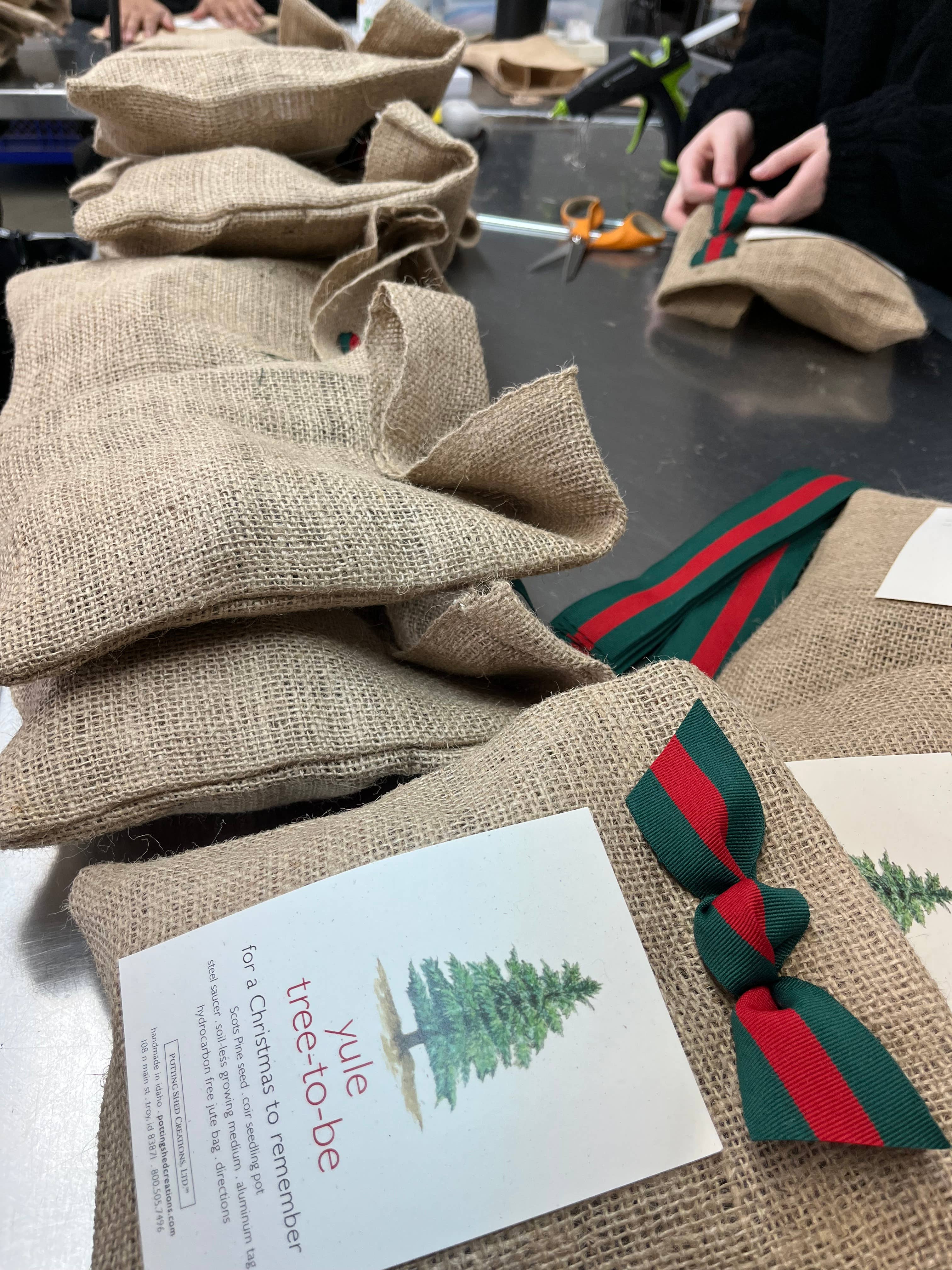 Christmas Tree to Be | Holiday gift | Fall Favorite