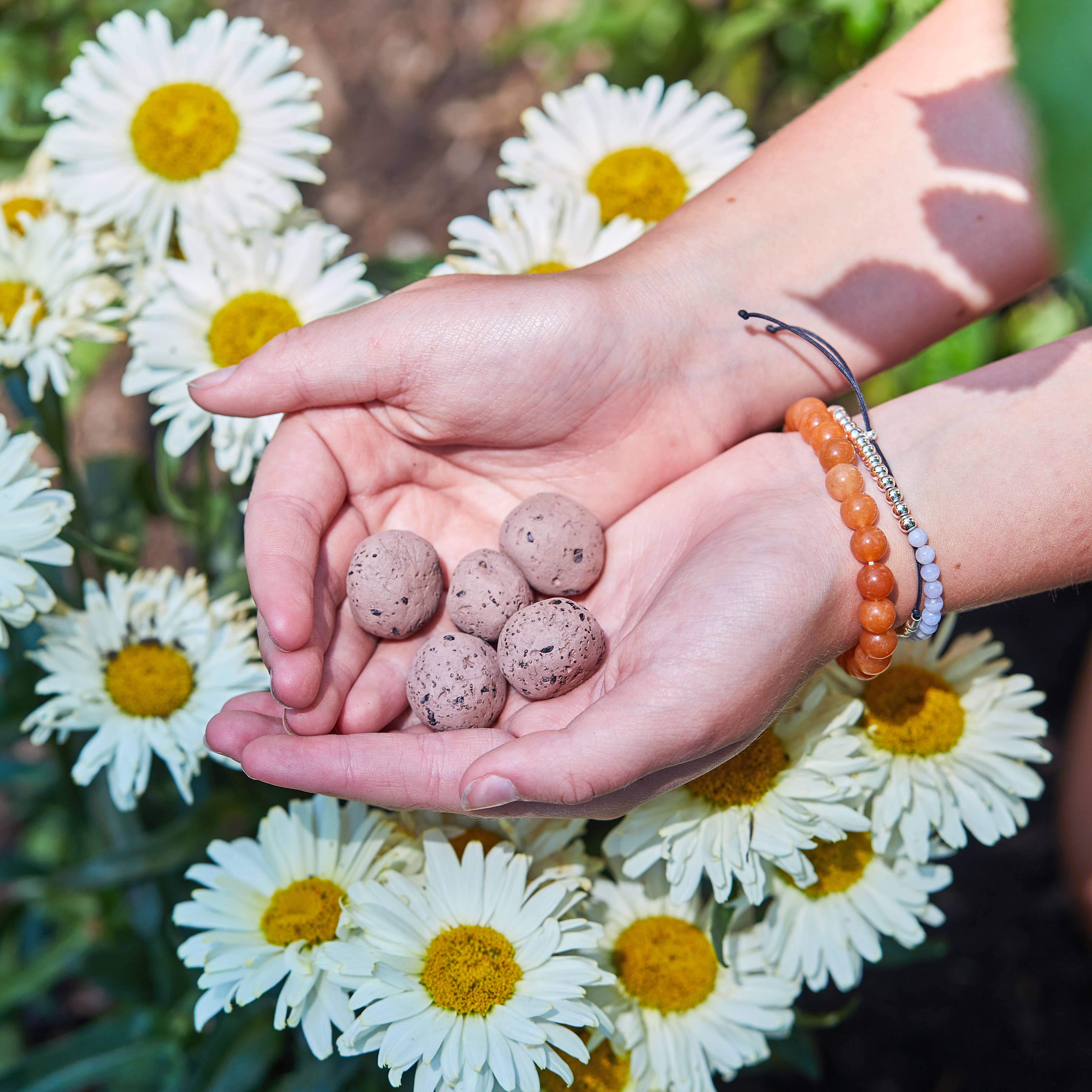 Bright Side Seed Balls