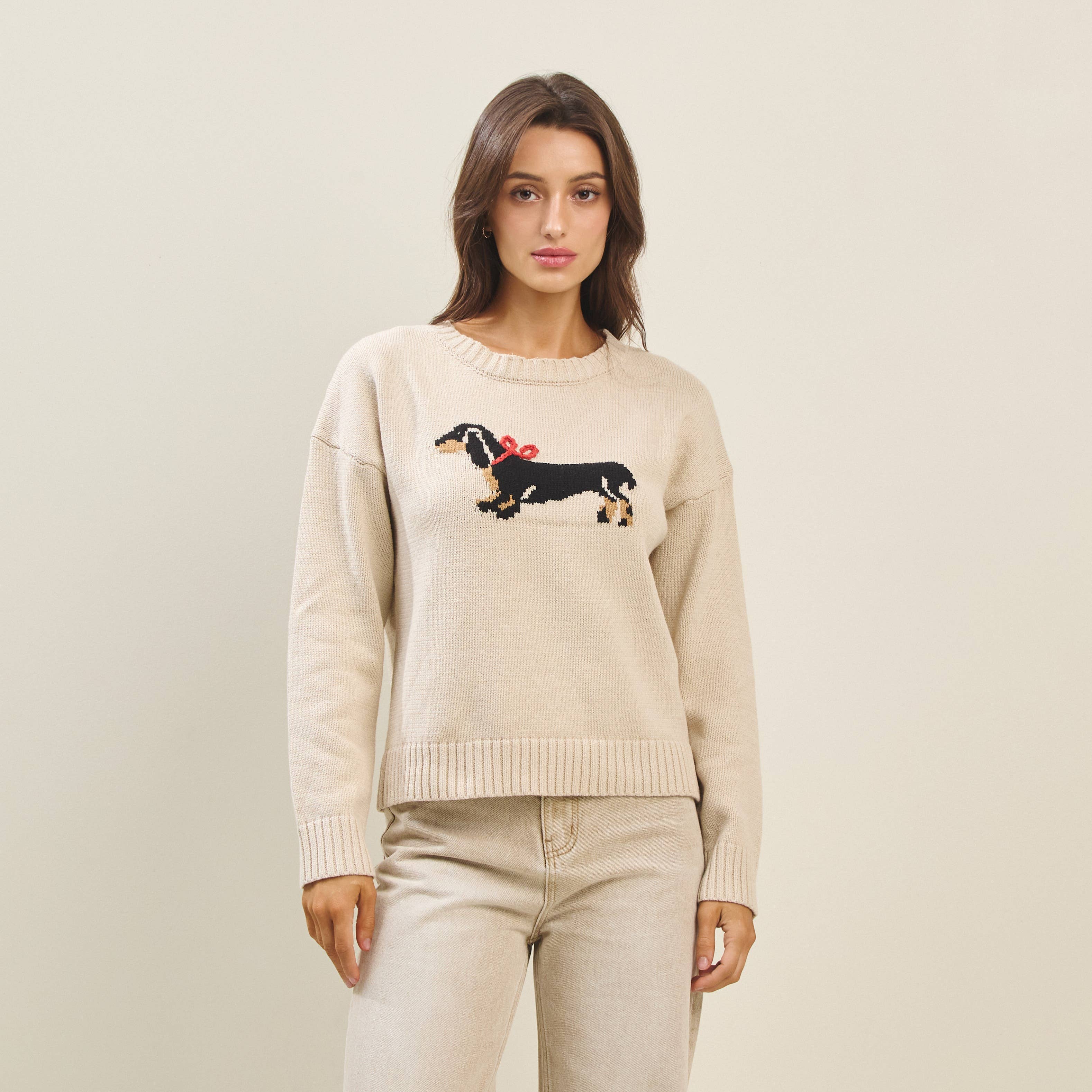 Bow dog sweater