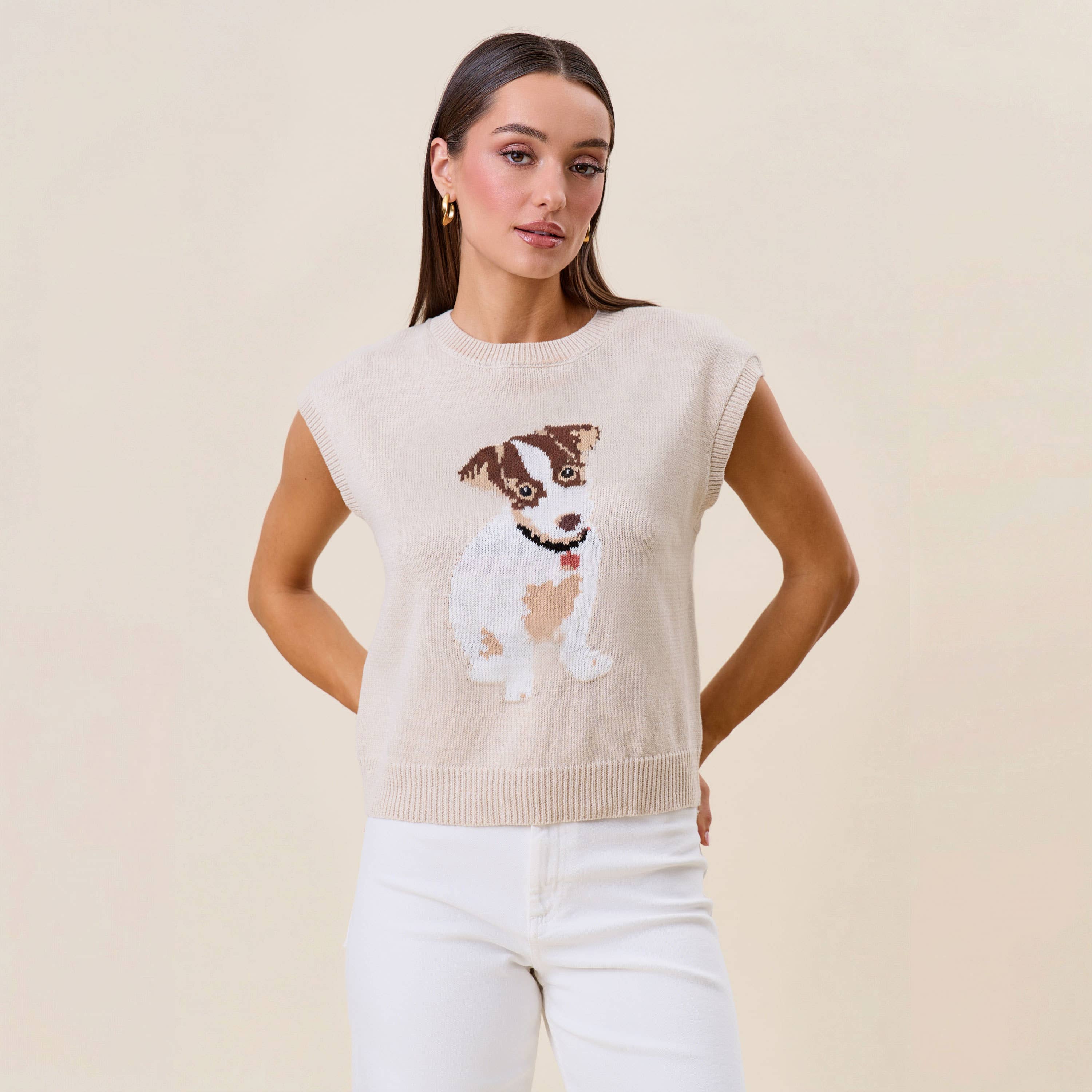 Sleeveless dog sweater