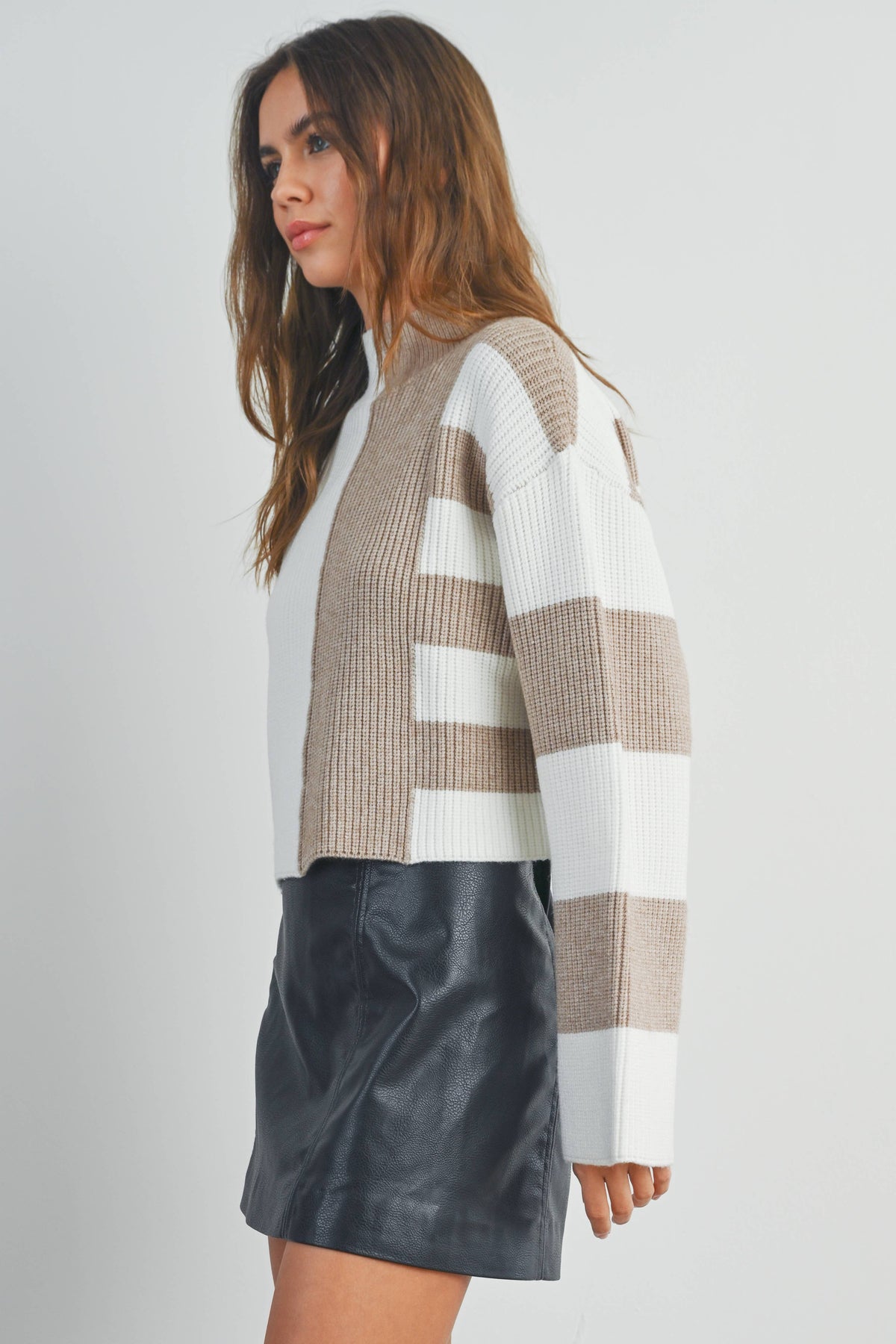 Color Block Mock Turtleneck Sweater