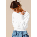 Pearl Embellished Round Neck Knit Sweater