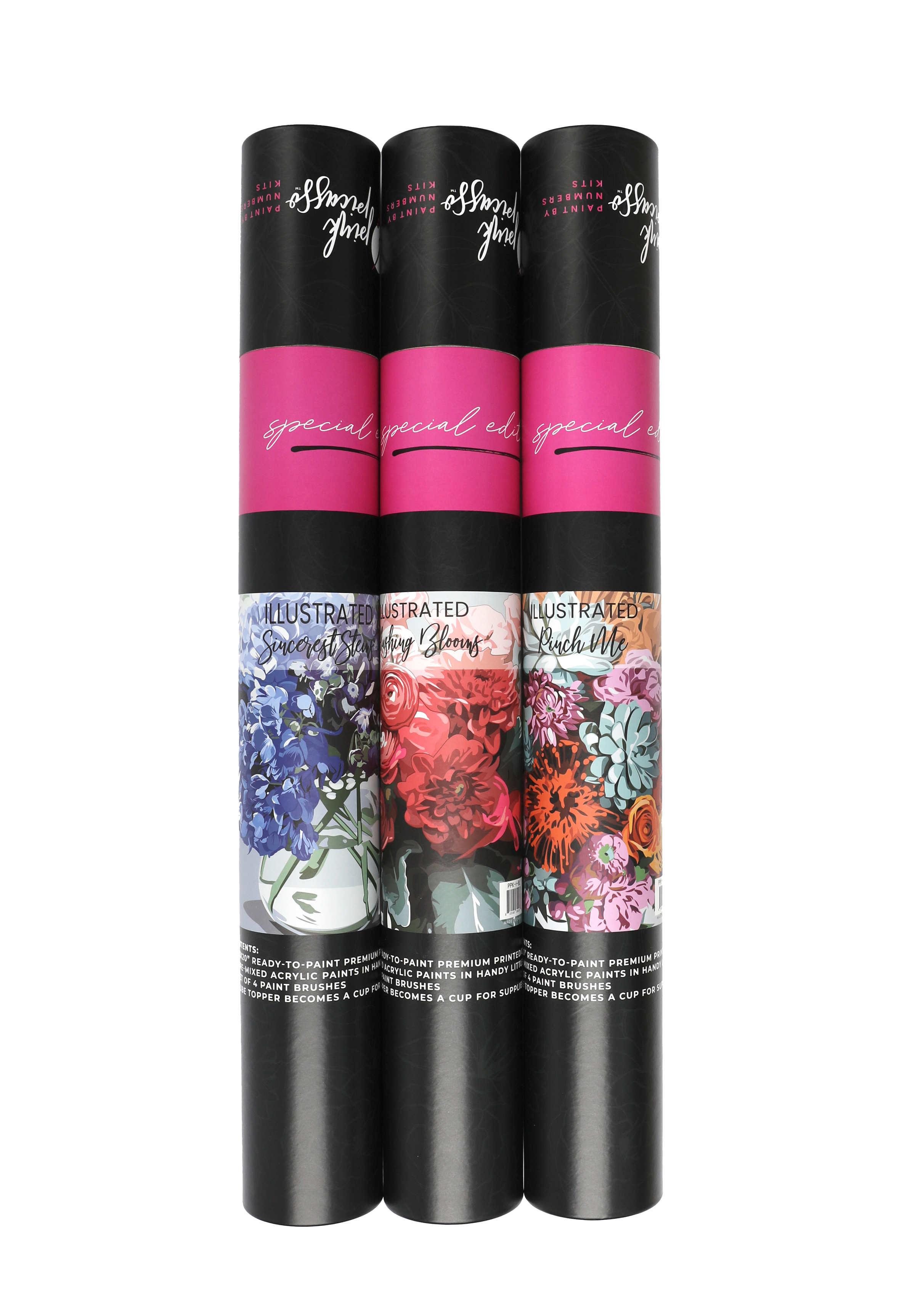 Special Edition Illustrated Blushing Blooms Paint by Number