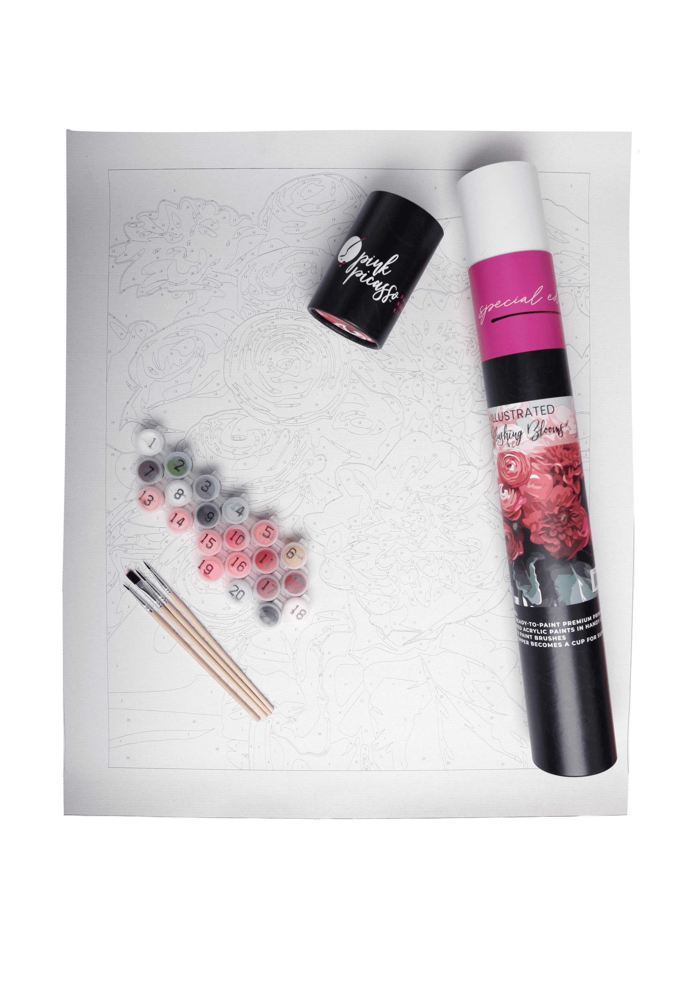 Special Edition Illustrated Blushing Blooms Paint by Number