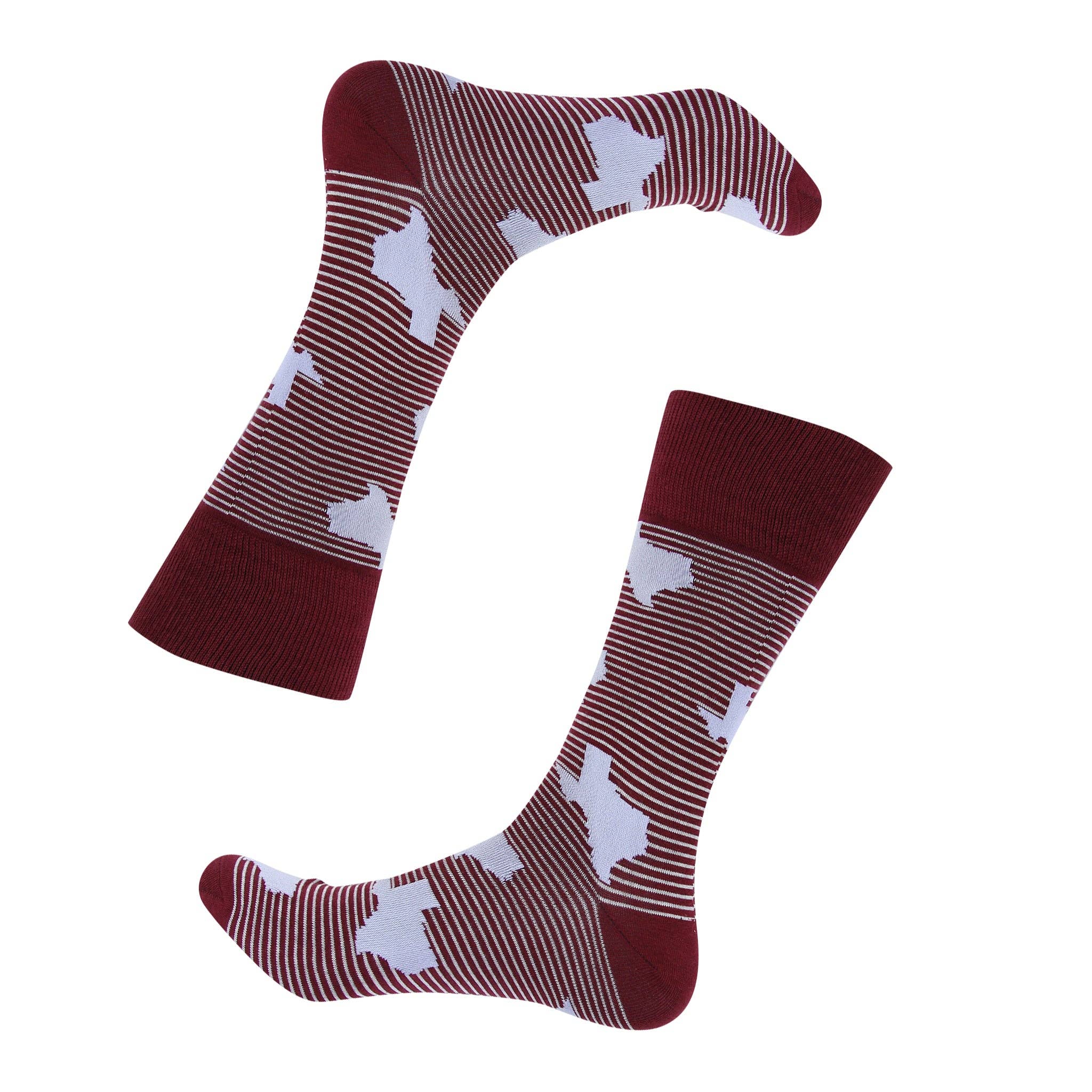 Texas Stripe Socks